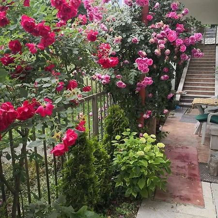 2 Bdr Family In - Free Parking Апартаменты Сараево